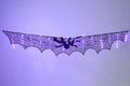 Spider Web Lights