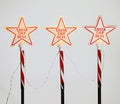 Star Stake Lights